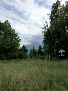 Berge von Salzburg